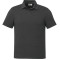 tentree TreeBlend Astir Polo - Hommes