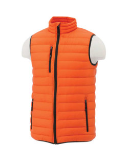 Veste en duvet légère Whistler pour hommes