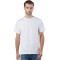 Champion - T-shirt pour adulte en coton filé
